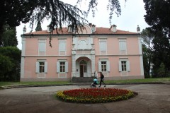 IMG_8841