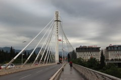 IMG_8844