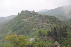 IMG_8871