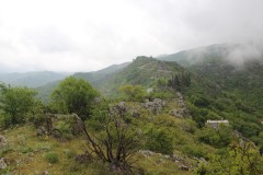 IMG_8872