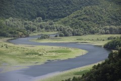 IMG_8878