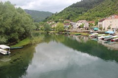 IMG_8890