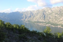 IMG_9060