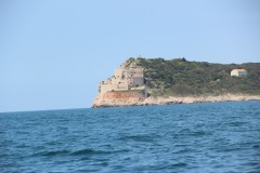 IMG_9210