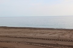 IMG_9352