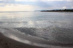 IMG_9581