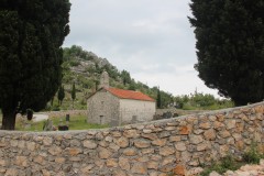 IMG_9619