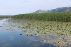 IMG_9630