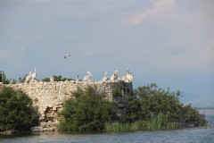 IMG_9636