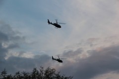 IMG_9686