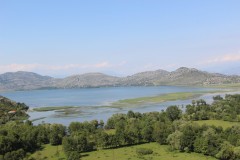 IMG_9721