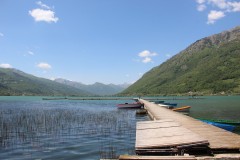 IMG_9760