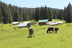 IMG_9763