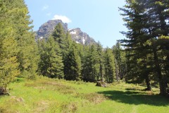 IMG_9766