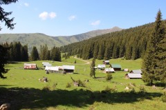 IMG_9772