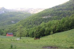 IMG_9804