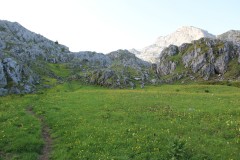 IMG_9815
