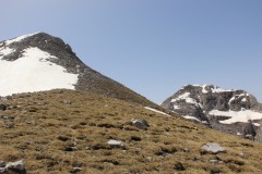 IMG_9837