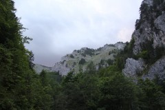 IMG_9866