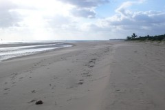 564-Barra