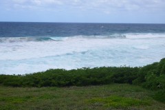 568-Tofinho