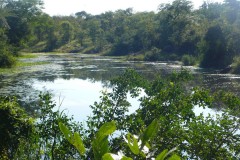 670-Limpopo-NP-Covane-Community-Lodge