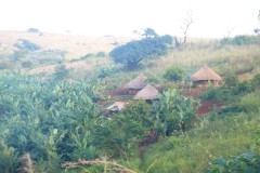 761-Morumbodzi-Base-Camp-Area