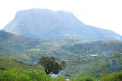 811-Mt.-Namúli-2419-m