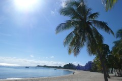 875-CI-Divers-Beach