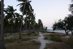 881-Pangane