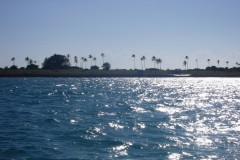 919-Matemo-Island