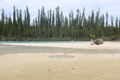 1047-La-Piscine-Naturelle