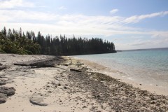 1088-Plage-de-Pede