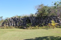 1130-Hnaenedr-Wall