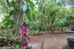 1149-Vanilla-Plantations