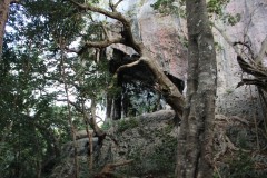 1179-Grotte-les-Joyaux-de-Luengoni