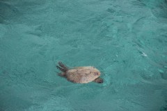1216