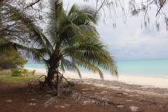 1236-Plage-Mio-Palmo
