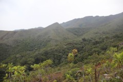 831-Monts-Koghis