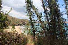 970-Baie-des-Torutues