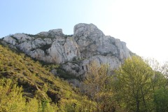 IMG_5853