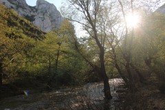 IMG_5857