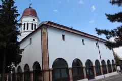 IMG_5875