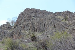 IMG_5882