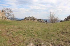 IMG_5890