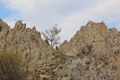 IMG_5899