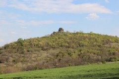 IMG_5902
