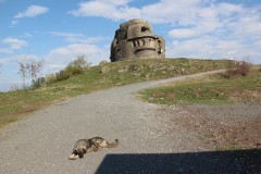 IMG_5907