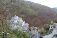 IMG_5918