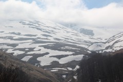 IMG_5930